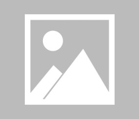 壹号-包含毕尔巴鄂竞技训练开放日，国际比赛日豪取连胜引欢呼，荷甲在即，球探报告显示潜力的词条